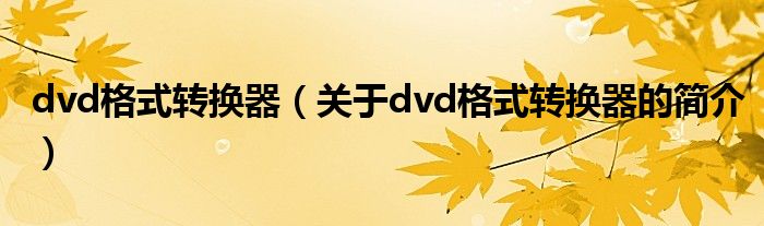 dvd格式轉(zhuǎn)換器（關(guān)于dvd格式轉(zhuǎn)換器的簡介）