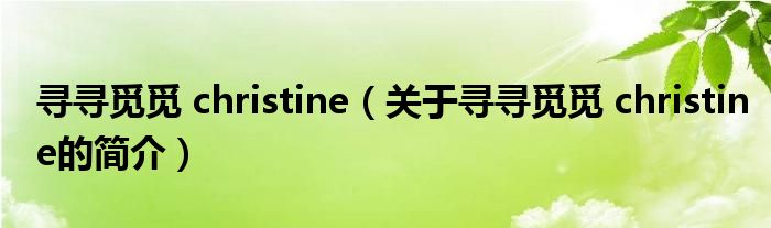 尋尋覓覓 christine（關(guān)于尋尋覓覓 christine的簡介）