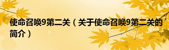 使命召喚9第二關(guān)（關(guān)于使命召喚9第二關(guān)的簡介）