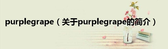 purplegrape（關(guān)于purplegrape的簡介）