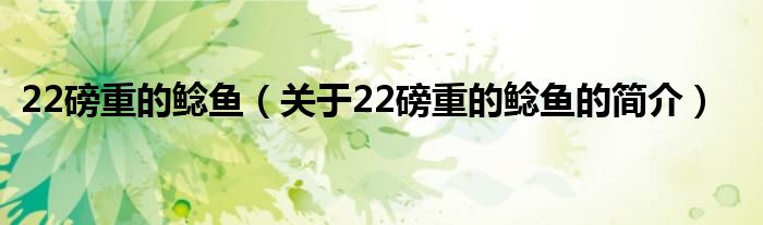 22磅重的鯰魚(yú)（關(guān)于22磅重的鯰魚(yú)的簡(jiǎn)介）