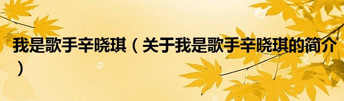 我是歌手辛曉琪（關(guān)于我是歌手辛曉琪的簡介）