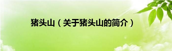 豬頭山（關(guān)于豬頭山的簡(jiǎn)介）