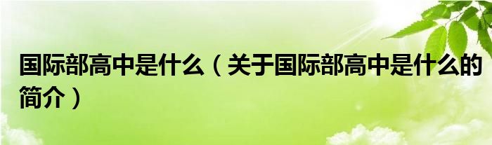 國際部高中是什么（關(guān)于國際部高中是什么的簡介）