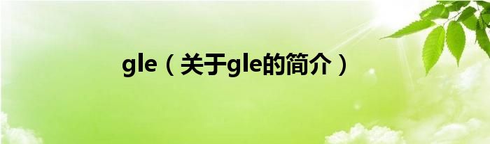 gle（關(guān)于gle的簡介）