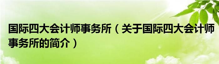 國(guó)際四大會(huì)計(jì)師事務(wù)所（關(guān)于國(guó)際四大會(huì)計(jì)師事務(wù)所的簡(jiǎn)介）