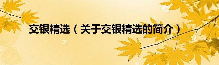 交銀精選（關(guān)于交銀精選的簡(jiǎn)介）