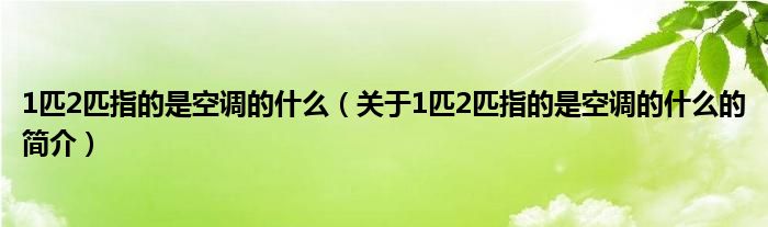 1匹2匹指的是空調(diào)的什么（關(guān)于1匹2匹指的是空調(diào)的什么的簡介）