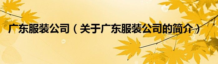 廣東服裝公司（關(guān)于廣東服裝公司的簡(jiǎn)介）