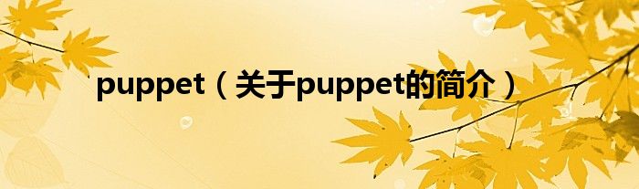 puppet（關(guān)于puppet的簡介）