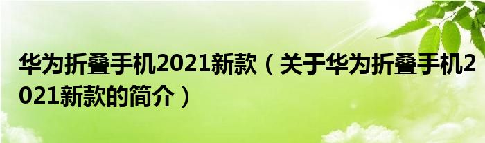 華為折疊手機2021新款（關(guān)于華為折疊手機2021新款的簡介）