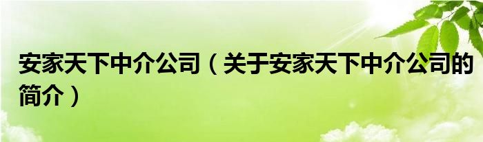 安家天下中介公司（關(guān)于安家天下中介公司的簡(jiǎn)介）