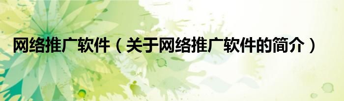 網(wǎng)絡(luò)推廣軟件（關(guān)于網(wǎng)絡(luò)推廣軟件的簡(jiǎn)介）