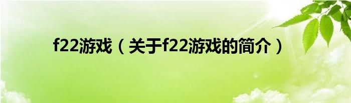 f22游戲（關于f22游戲的簡介）