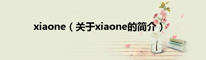 xiaone（關(guān)于xiaone的簡介）