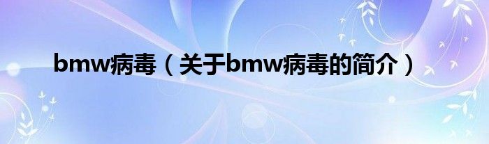 bmw病毒（關(guān)于bmw病毒的簡(jiǎn)介）