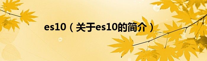 es10（關(guān)于es10的簡介）