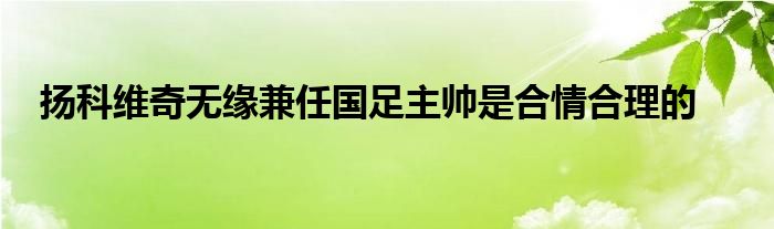 揚(yáng)科維奇無(wú)緣兼任國(guó)足主帥是合情合理的