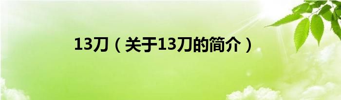 13刀（關于13刀的簡介）