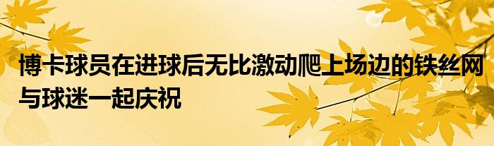 博卡球員在進(jìn)球后無比激動爬上場邊的鐵絲網(wǎng)與球迷一起慶祝