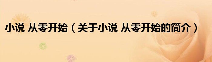 小說(shuō) 從零開(kāi)始（關(guān)于小說(shuō) 從零開(kāi)始的簡(jiǎn)介）