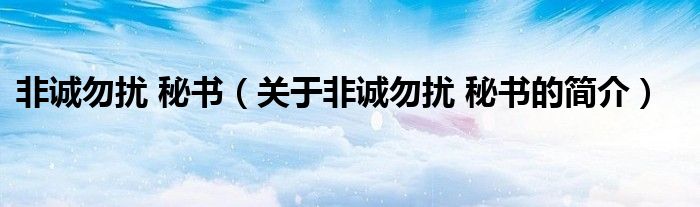 非誠(chéng)勿擾 秘書(shū)（關(guān)于非誠(chéng)勿擾 秘書(shū)的簡(jiǎn)介）