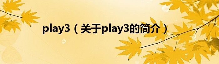 play3（關(guān)于play3的簡(jiǎn)介）