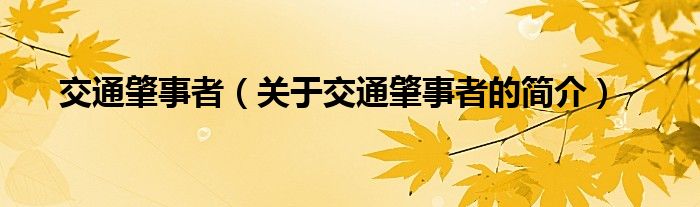 交通肇事者（關(guān)于交通肇事者的簡介）