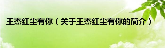 王杰紅塵有你（關(guān)于王杰紅塵有你的簡(jiǎn)介）