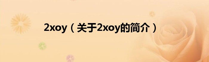 2xoy（關于2xoy的簡介）