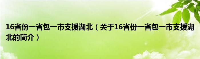 16省份一省包一市支援湖北（關(guān)于16省份一省包一市支援湖北的簡(jiǎn)介）