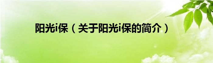 陽(yáng)光i保（關(guān)于陽(yáng)光i保的簡(jiǎn)介）