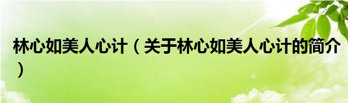 林心如美人心計（關(guān)于林心如美人心計的簡介）