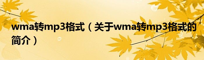 wma轉mp3格式（關于wma轉mp3格式的簡介）