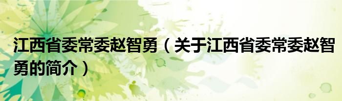 江西省委常委趙智勇（關(guān)于江西省委常委趙智勇的簡介）