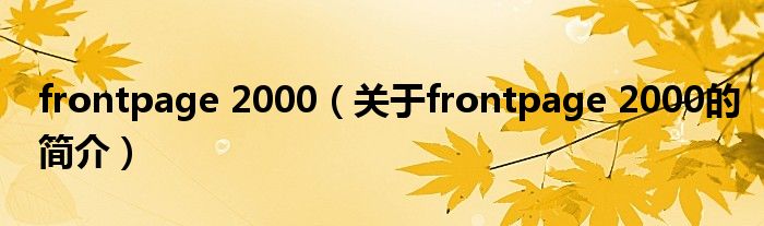 frontpage 2000（關于frontpage 2000的簡介）