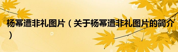 楊冪遭非禮圖片（關(guān)于楊冪遭非禮圖片的簡介）