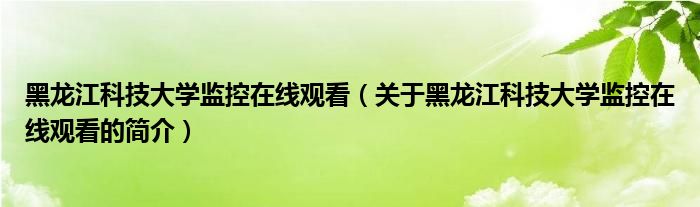 黑龍江科技大學(xué)監(jiān)控在線觀看（關(guān)于黑龍江科技大學(xué)監(jiān)控在線觀看的簡介）