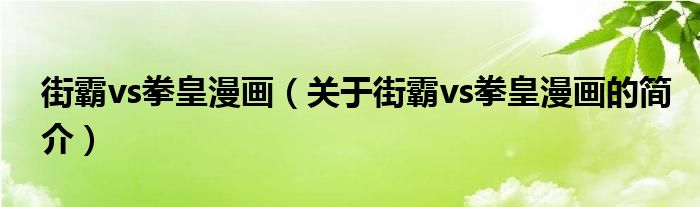 街霸vs拳皇漫畫（關(guān)于街霸vs拳皇漫畫的簡介）