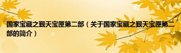 國(guó)家寶藏之覲天寶匣第二部（關(guān)于國(guó)家寶藏之覲天寶匣第二部的簡(jiǎn)介）