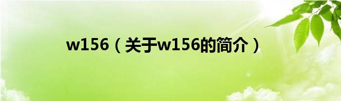 w156（關(guān)于w156的簡(jiǎn)介）