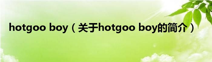 hotgoo boy（關(guān)于hotgoo boy的簡介）