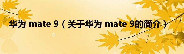 華為 mate 9（關(guān)于華為 mate 9的簡介）