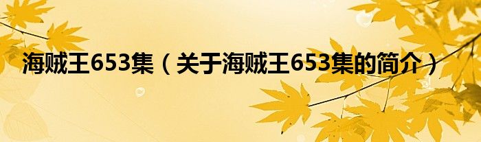 海賊王653集（關(guān)于海賊王653集的簡介）