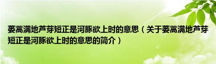 蔞蒿滿(mǎn)地蘆芽短正是河豚欲上時(shí)的意思（關(guān)于蔞蒿滿(mǎn)地蘆芽短正是河豚欲上時(shí)的意思的簡(jiǎn)介）