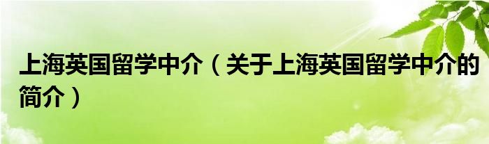 上海英國留學(xué)中介（關(guān)于上海英國留學(xué)中介的簡(jiǎn)介）