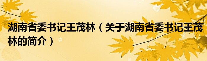 湖南省委書記王茂林（關于湖南省委書記王茂林的簡介）