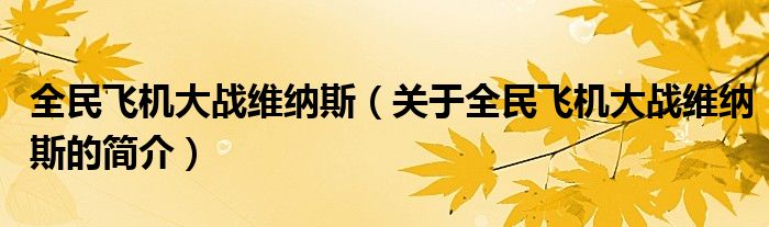 全民飛機大戰(zhàn)維納斯（關(guān)于全民飛機大戰(zhàn)維納斯的簡介）