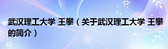 武漢理工大學(xué) 王攀（關(guān)于武漢理工大學(xué) 王攀的簡(jiǎn)介）