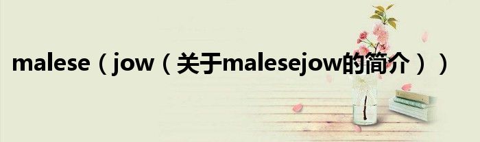 malese（jow（關(guān)于malesejow的簡介））